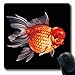 Produktbild Luancrop Mousepads für Computer Fin Aquarium Goldfisch Orange Perle Oranda Auf Redkap 10 Natur Schwarz Zucht Karpfen Design rutschfeste Oblong Gaming Mouse Pad
