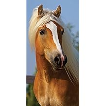 Suchergebnis auf Amazon.de für: pferde badetuch