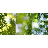 3er Set Fotoabzüge Fotodrucke 