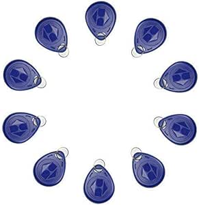 10 x RFID Transponder Chipschlüssel EM, 125KHz, Blau Cute