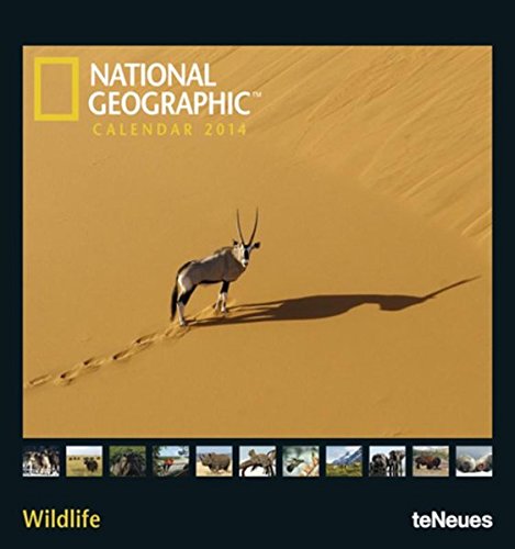National Geographic Calendar Wildlife 2014