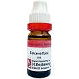 Calcarea Fluorica 200 11ML Dr. Reckeweg