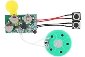 ANNADUE Recordable Sound Module, DIY Greeting Card Chip 120 Seconds Recordable Voice Sound Chip Module, for Gift Boxes, Invitations, Handmade Products, High Sound Quality/Easy to Use