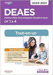 Deaes Domaines De Formation 1 A 4 Tout En Un Sue Sammut Isabelle Lenepveu Daniele Livres Amazon Fr
