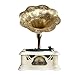 Produktbild AX-Music GLVG-Old-Fashioned Plattenspieler Plattenspieler Antik Kupfer Big Horn Grammophon Retro Bluetooth Stereo Stereo Massivholz (Color : A-White)