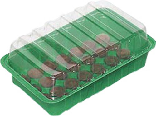 ROMBERG 74011K Mini Treibhaus 26x11x7 cm mit 10 Quelltöpfen