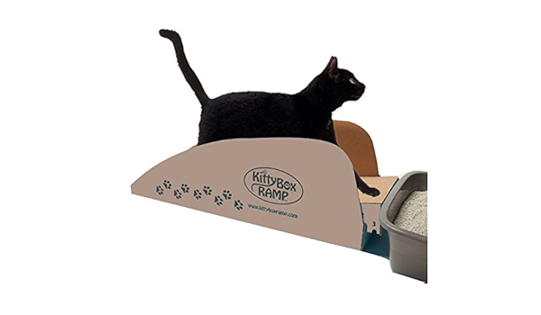 kitty box ramp