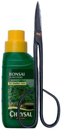 Weekly Bonsai Tree Care Kit