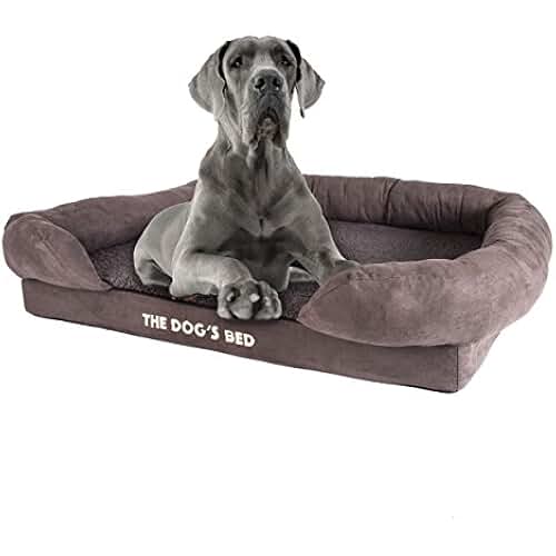 Amazon.co.uk £100 £200 Dogs Pet Supplies