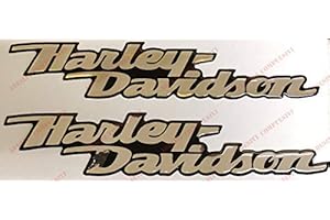 ADESIVI COMPULSIVI Logo-Aufkleber Harley-Davidson,Dyna Street Bob, Emblem, harzbeschichtet, 3D-Effekt, 2 Stück Für Tankdeckel oder Helm. Chrom (verspiegeltes Silber)