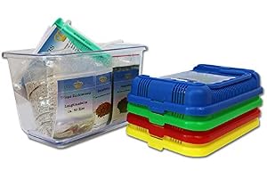 Triops King Nybörjarset med 50 ägg och grönt lock – inklusive uppfödningsbricka, mat, instruktioner, sand, Longicaudatus trippägg och spruta