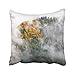 Produktbild NNMAW Yellow Austria Autumn Fog in Mountains Austrian Alps Beautiful Beauty Color Europe Fall Foggy Foliage Throw Pillow Covers 18x18 Inch Decorative Cover Pillowcase Cases Case Two Side