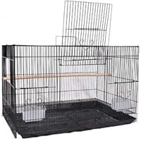 BURAQ 2 FT Bird Cage Best for Lovebird/Pet, Parrot, Parakeet, Budgie, Cockatiel Cage Hammock Large Bird Cage (Size: 18…