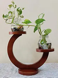 Safal Natural Wooden Made Twin Jar Holding Hydroponic Designer Planter Stand