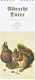Albrecht Dürer 2019: Kunst-Postkartenkalender by
