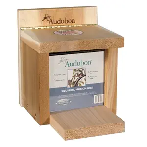 Woodlink NASQBOX Audubon Squirrel Munch Box Feeder