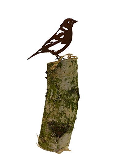 3er Set Vogel / Haubenmeise – Buchfink – Kohlmeise (Rostdeko) - 7