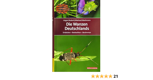 Die Wanzen Deutschlands Entdecken Beobachten Bestimmen Quelle Meyer Bestimmungsbucher Amazon De Deckert Jurgen Wachmann Ekkehard Bucher