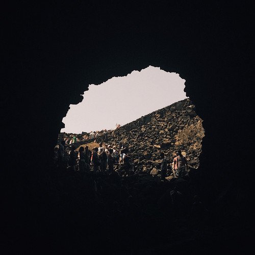 Preisvergleich Produktbild Black Box Animals