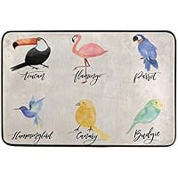 Badematten Teppiche Chenglvv Tropische Vogel Tukan Und Flamingo