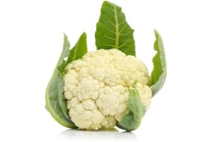 QUAST MEERRETTICH Blumenkohl | Frischer Blumenkohl (1 Stück)