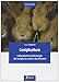 Coniglicoltura. L'allevamento professionale del coniglio da carne e da affezione - Angelo Gamberini