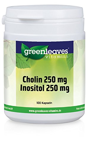 Preisvergleich Produktbild Cholin 250 mg + Inositol 250 mg