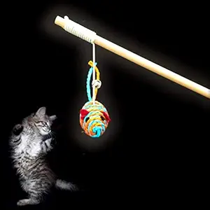 The DDS Store Wood ?Feather Rope Cat Stick Kitten Tease Rod Pet Interactive Toys (Mouse) -Color May Vary