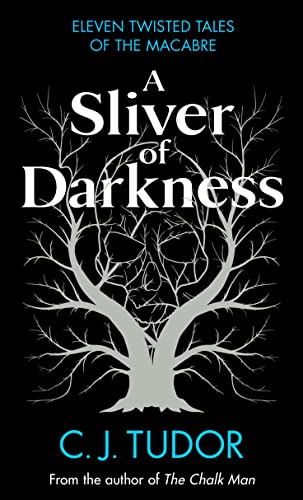 Cover of A Sliver of Darkness
