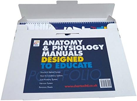 Chartex Nervous System Manual