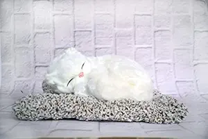 Offo||Sleeping CAT Soft Toy |Best Form of Gift |Well Stitched | Delicate Craft (White Cat)