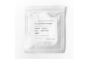 GN LTD Penicillium Candidum Cheese Culture For The Production Of White Mould On Brie & Camembert