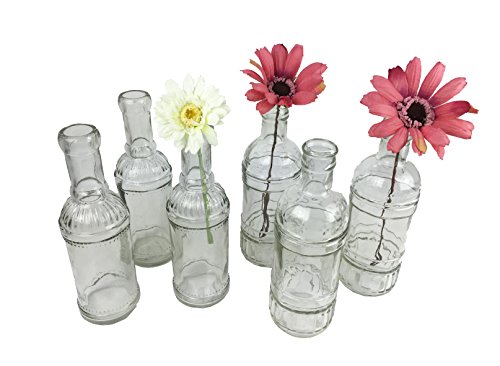 6er Set Glasflaschen, transparent (Vasen Set für Tischdekoration, Hochzeitsvasen, Kerzenvase, Gastro