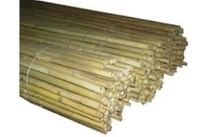 FRASCHETTI 10 canne bamboo bambù pareti divisorie pali pomodori piante rampicanti h. 210 cm diametro 22-24
