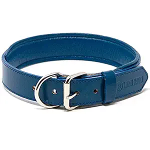 Logical Leather Padded Dog Collar - Best Full Grain Heavy Duty Genuine Leather Collar - Blue - Large