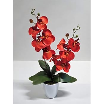 Amazon.de: homeseasons LED-beleuchteten Künstliche Blumen