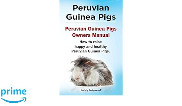 Peruvian Guinea Pigs Peruvian Guinea Pigs Owners Manual How To