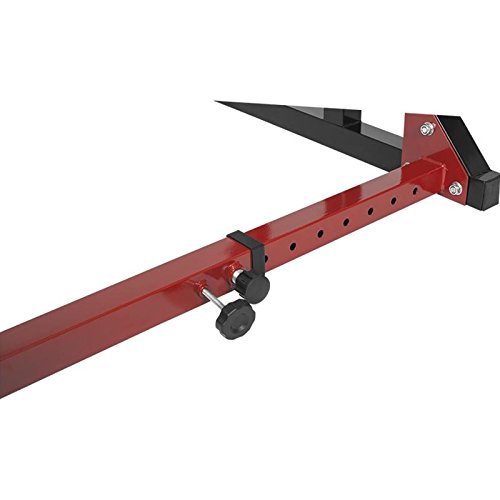 Gorilla Sports Erwachsene Multi Squat Rack Verstellbare Ablage Kniebeugenständer, Schwarz, One Size - 4