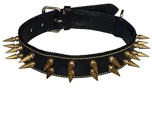 Skora - Export Quality Genuine Leather Dog Collar with Spiked 1.50