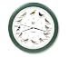 Produktbild KooKoo - Die singende Vogeluhr, Wanduhr Singvögel mit RC Funkquarzwerk grün