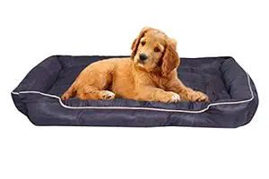 Amit Brothers Ultra Comfort Pet Bed for Dogs/Puppies