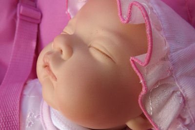 PRIMROSE Lifesize 18