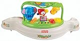 Fisher-Price Baby Gear – K7198 – Rainforest Jumperoo - 17