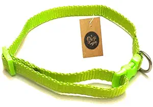 The Pets Company X-Small Collar, Suitable for Puppies of All Dog Breeds, Green