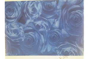 JACKDAW EXPRESS 25 x Vellum Paper A4 115gsm Printed Floral Flowers 4 Designs to Choose Crafts (Blue Rose)