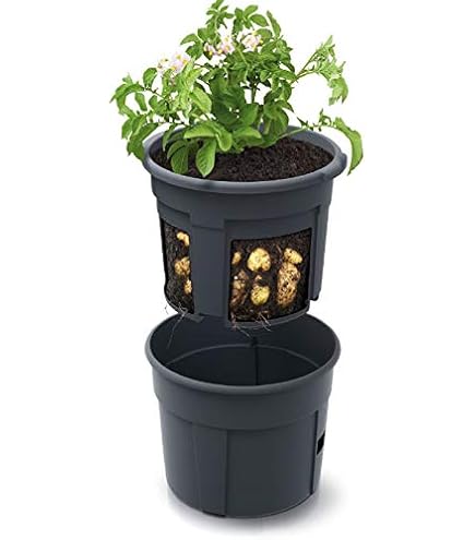 PAFEN 3 x potato cultivation, potato plant pot, 392 x 316 mm