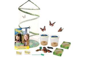 Insect Lore Giant Butterfly Garden with 6-10 Caterpillars and Lifecycle Stages