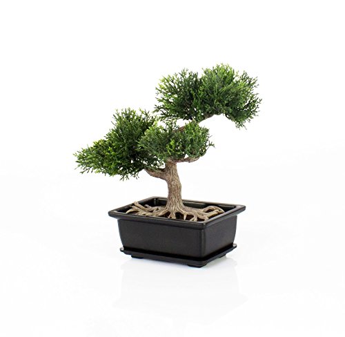 Künstlicher Bonsai Zeder im Töpfchen, ca. 23 cm – hochwertiger Kunstbonsai - 2