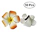 Produktbild BESTOYARD Hawaiian Blume Haarnadeln Haarspangen Plumeria Schaum Haarnadeln Sommer Strand Blume Haarspangen für Festival Party Kopfschmuck 10 Stücke (Farbe Sortiert)