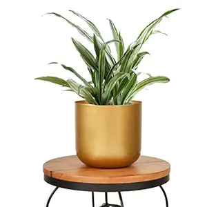 Craftic Design Metal Planter Pot for Indoor Without Drainage Hole Home Garden Decor Planter for Living Room-Bedroom Interior Decoration (7